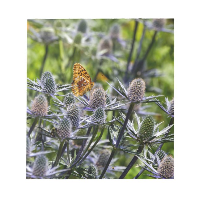 Fritillary Butterfly On Blue Thistle Notepad (Front)