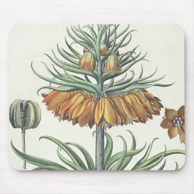Fritillary: Corona Imperialis florum classe duplic Mouse Pad (Front)