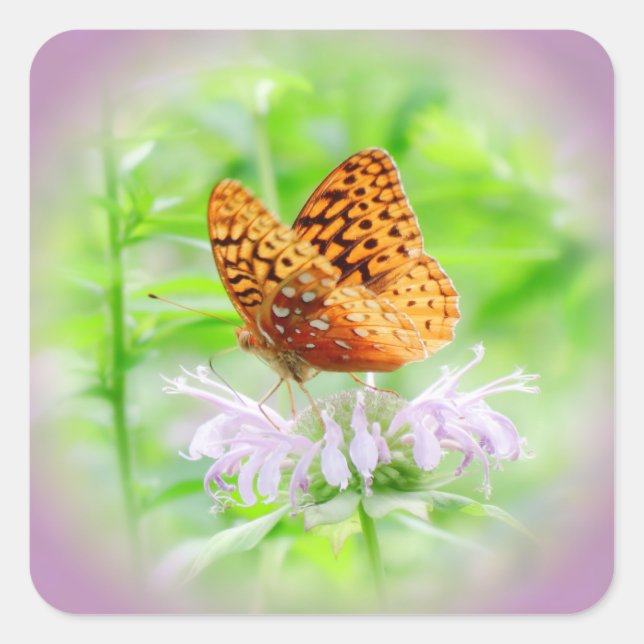 Fritillary Dream - Daylily Square Sticker (Front)