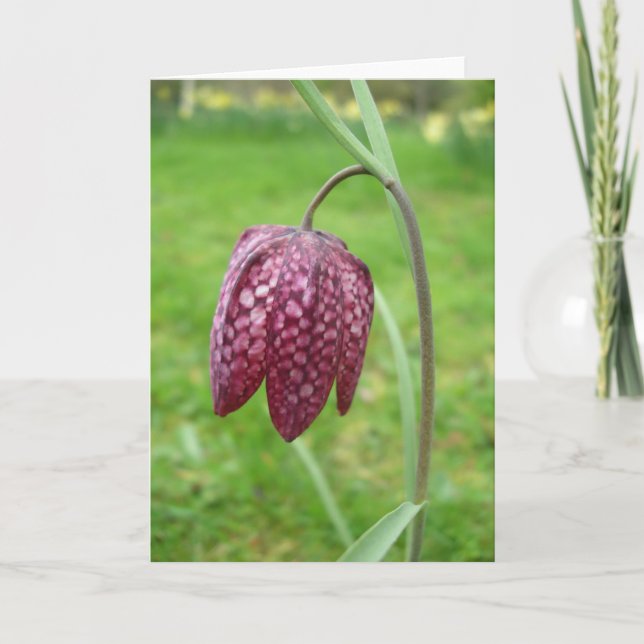 Fritillary Flower Note Card (Front)