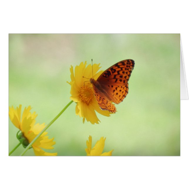 Fritillary Fun - Butterfly (Front Horizontal)