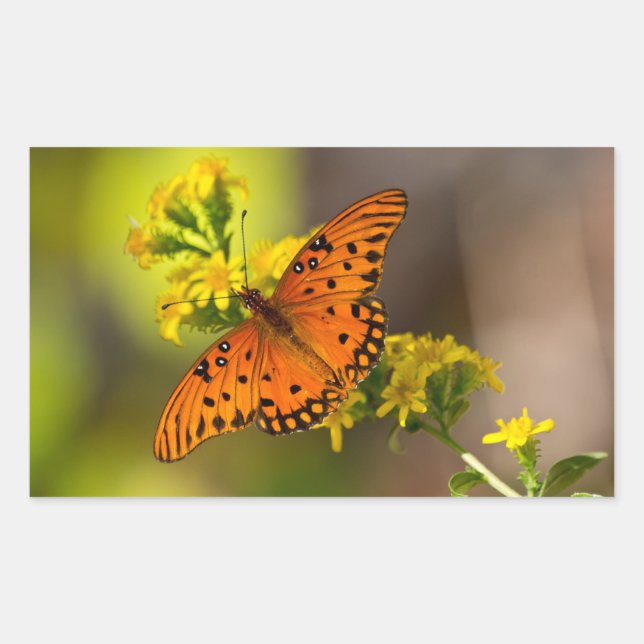 Fritillary Gulf Butterfly Gifts and Apparel Rectangular Sticker (Front)