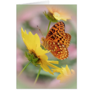 Fritillary World