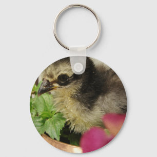 Frizzle Chick Key Ring