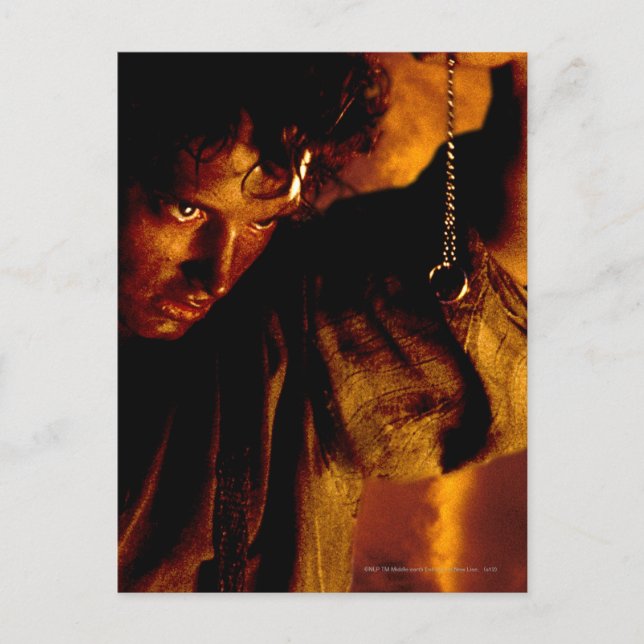 FRODO™ Stares at Ring Postcard (Front)