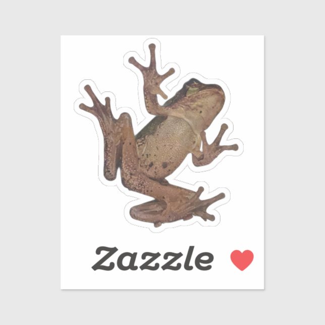 frog (Sheet)