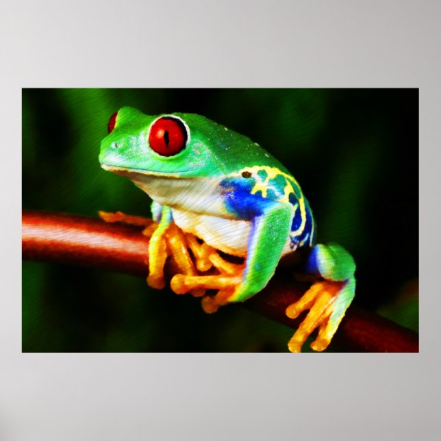 Frog 1 Print (Front)