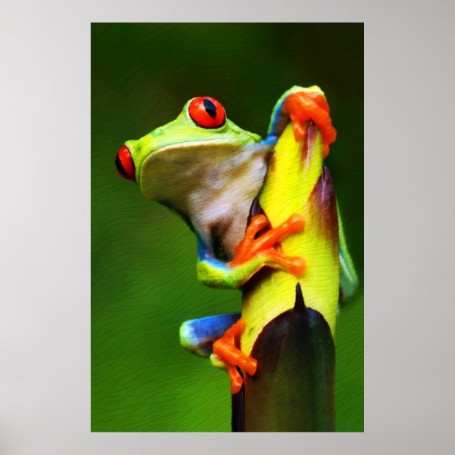 Frog 2 Print (Front)