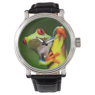 Frog  2 Watch & Numeral Options