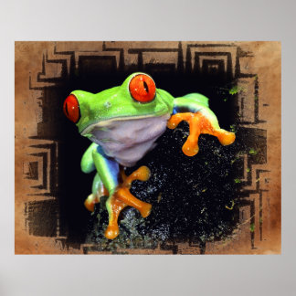 Frog 3 Bordered Print Options