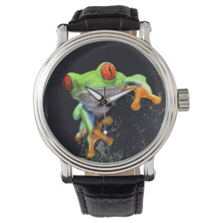 Frog 3 Watch & Numeral Options