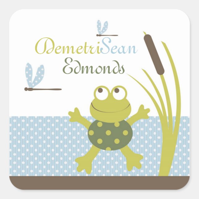 Frog and Dragonfly Baby Shower Square Sticker (Front)
