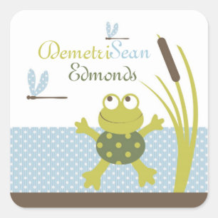 Frog and Dragonfly Baby Shower Square Sticker