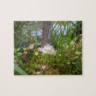 Frog And Log Compact Puzzle