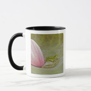 Frog and lotus flower petal, China, Mug