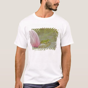 Frog and lotus flower petal, China, T-Shirt
