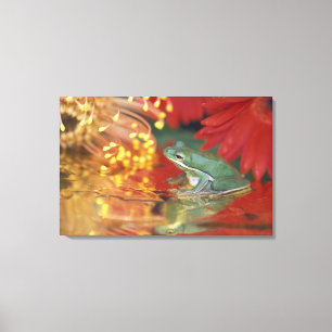 Frog and reflections among flowers. Credit as: Canvas Print