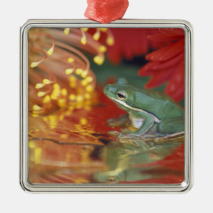 Frog and reflections among flowers. Credit as: Metal Tree Decoration