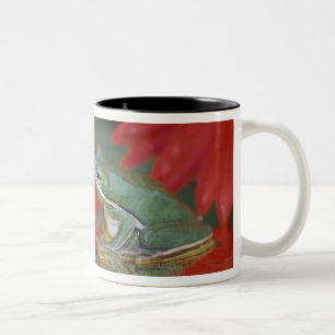 Frog and reflections among flowers. Credit as: Two-Tone Coffee Mug
