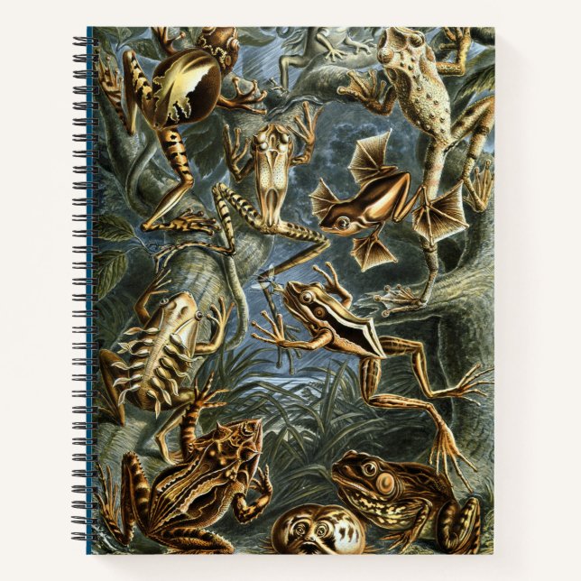 Frog and toad Ernst Haeckel vintage Notebook (Front)