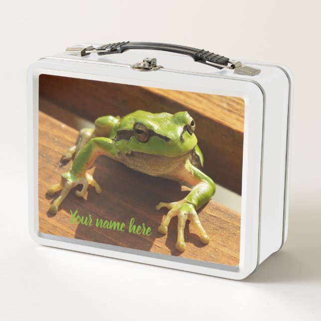 frog,Animal,lunch box ,Case,colourful+ craft, (Front)