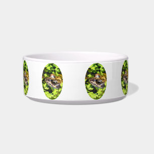 FROG BOWL