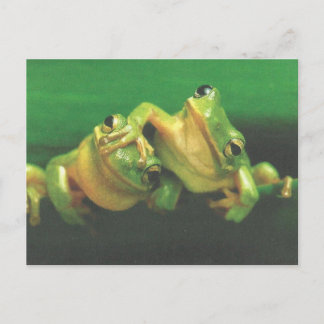 Frog Brothers Postcard