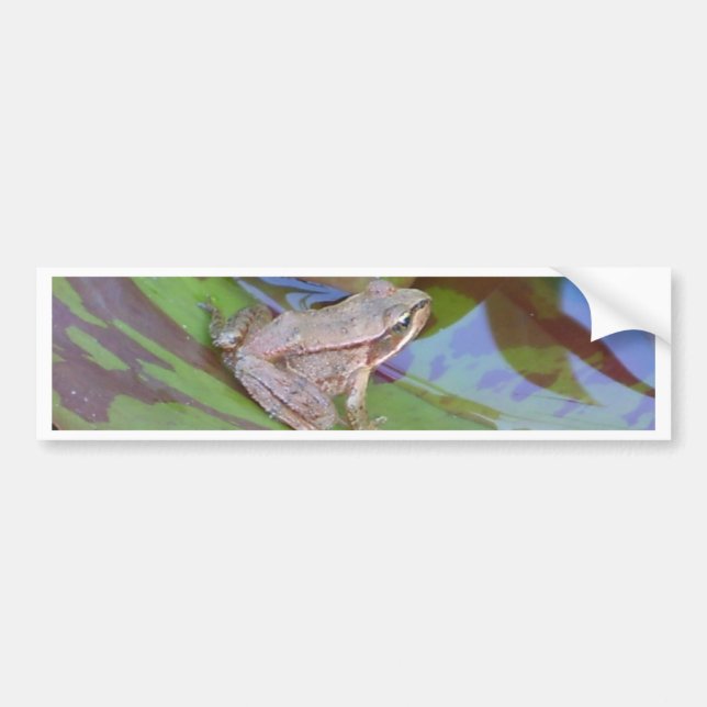 Frog Bumper Sticker (Front)