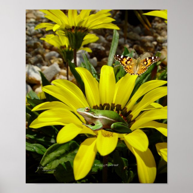 Frog butterfly Flowers Poster (Front)