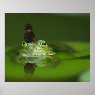 Frog & Butterfly Poster