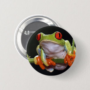 Frog Button