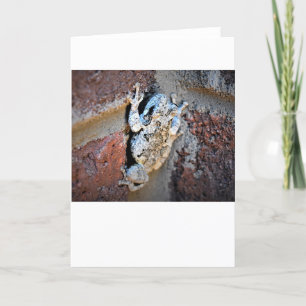 Frog, card