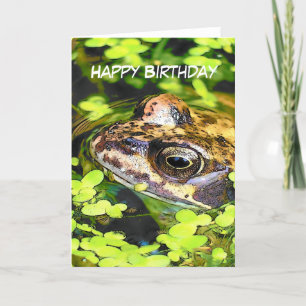 FROG CARD