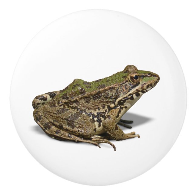 Frog Ceramic Knob (Front)