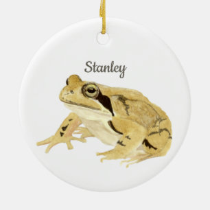 Frog Ceramic Tree Decoration