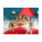Frog Christmas , Tinsel, feathers, santa pattern