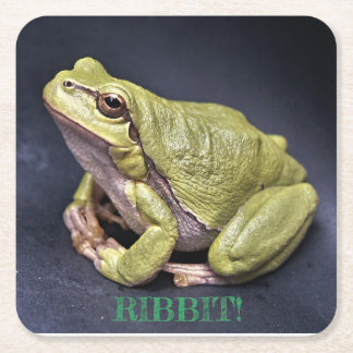 Frog Coaster