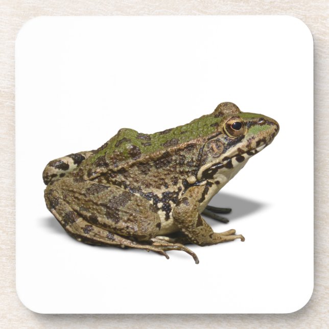 Frog Coaster (Front)