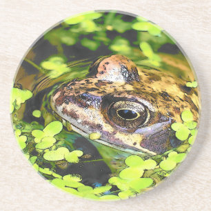 FROG COASTER