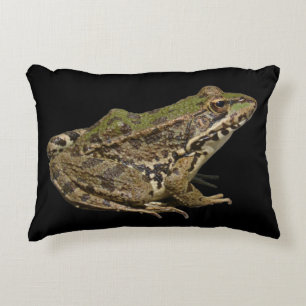 Frog Decorative Cushion