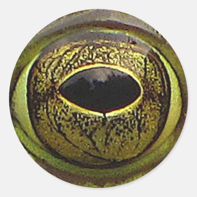 Frog Eye Classic Round Sticker (Front)