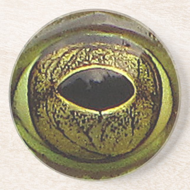 Frog Eye Coaster (Front)