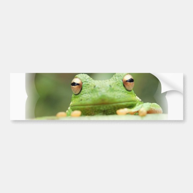 Frog Eyes Bumper Sticker (Front)