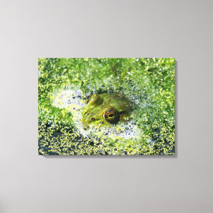 Frog Eyes Canvas Print