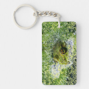 Frog Eyes in a Pond Key Ring