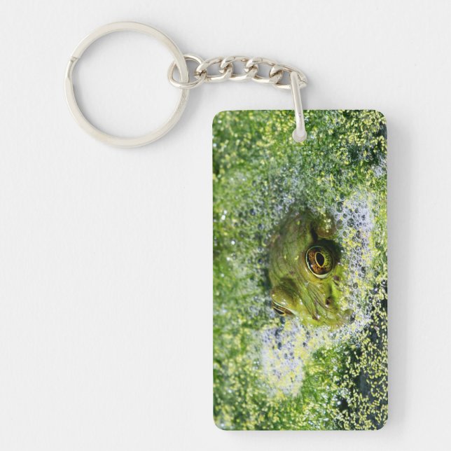 Frog Eyes in a Pond Key Ring (Front)