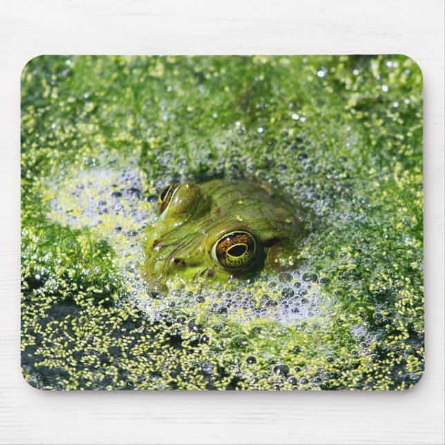 Frog Eyes in a Pond Mouse Pad (Front)