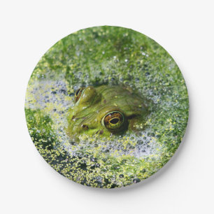 Frog Eyes in a Pond Paper Plate