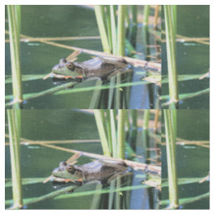 Frog Fabric