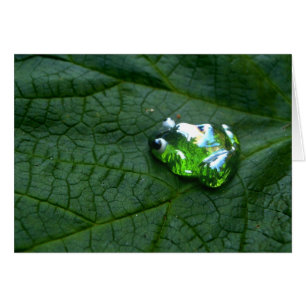 Frog Green